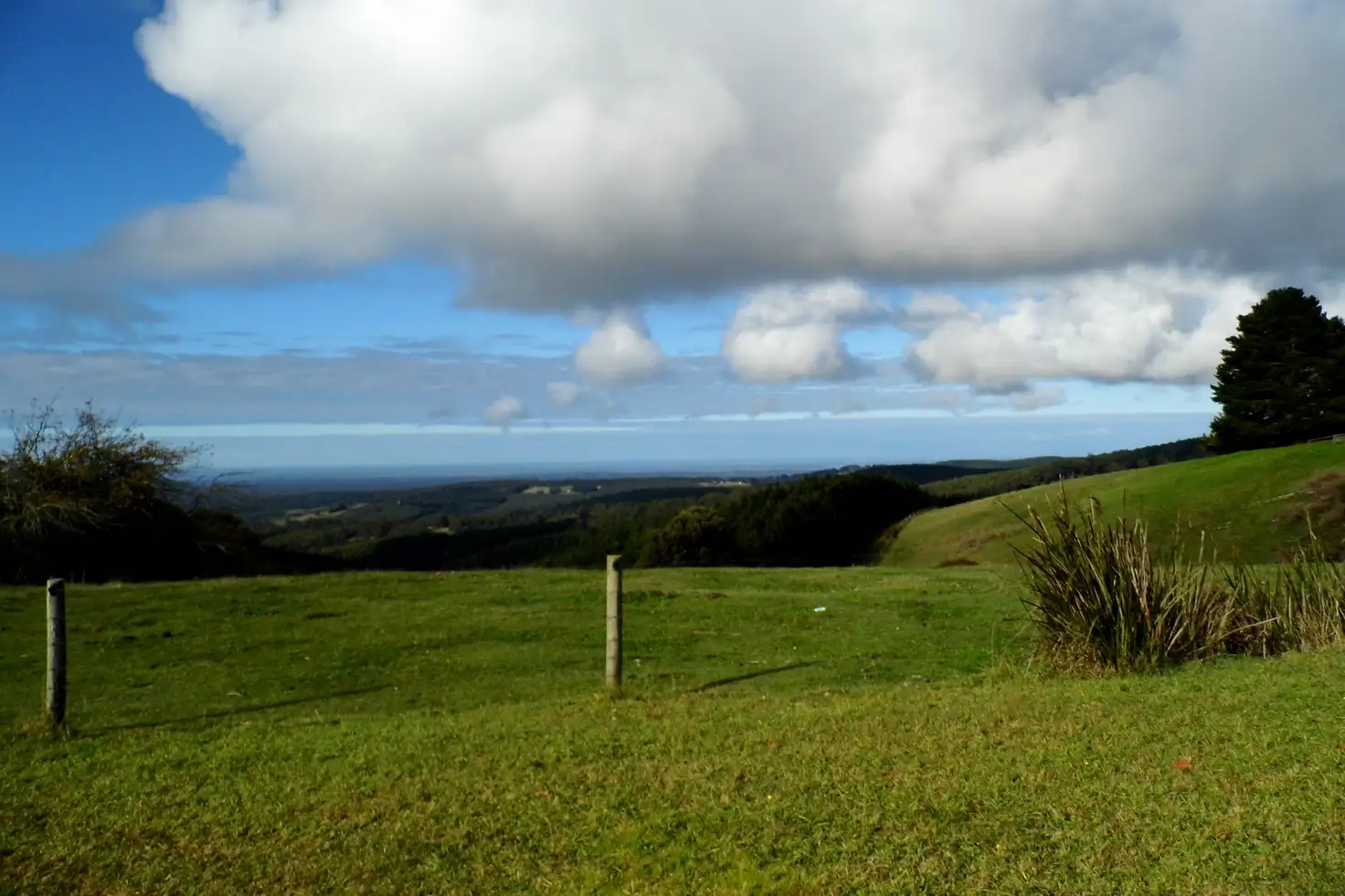 Main view of Homely rural property listing, Lot 4/39 Township Road, Carrajung VIC 3844
