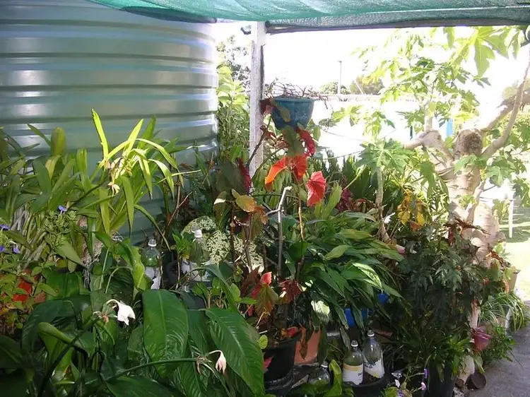 Third view of Homely house listing, 18 James St, Lowood QLD