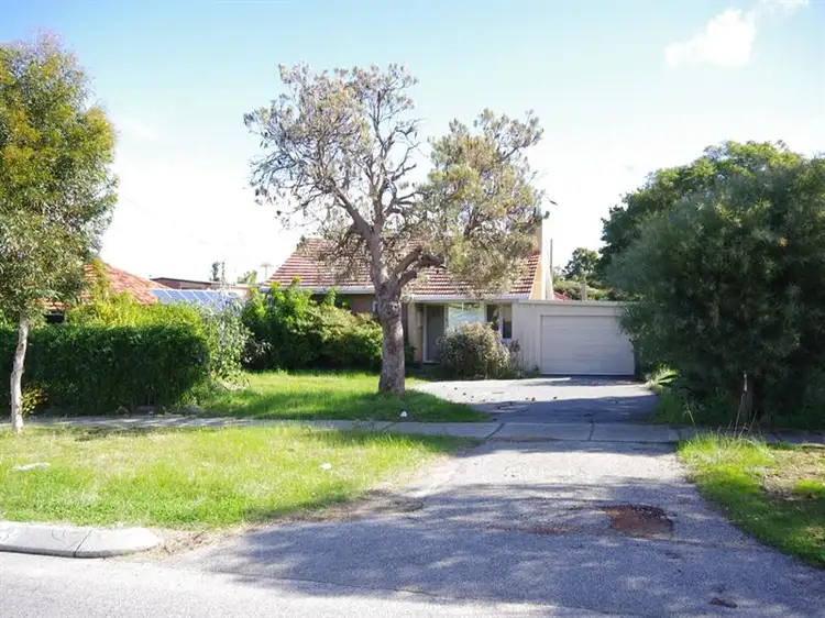 Main view of Homely house listing, 13 Newbury St, Balga WA
