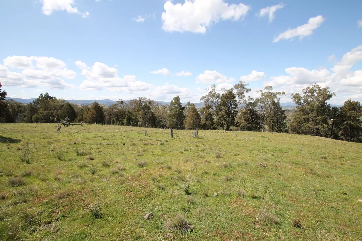 Main view of Homely rural property listing, Lot 7 Grandview Place, Quirindi NSW 2343