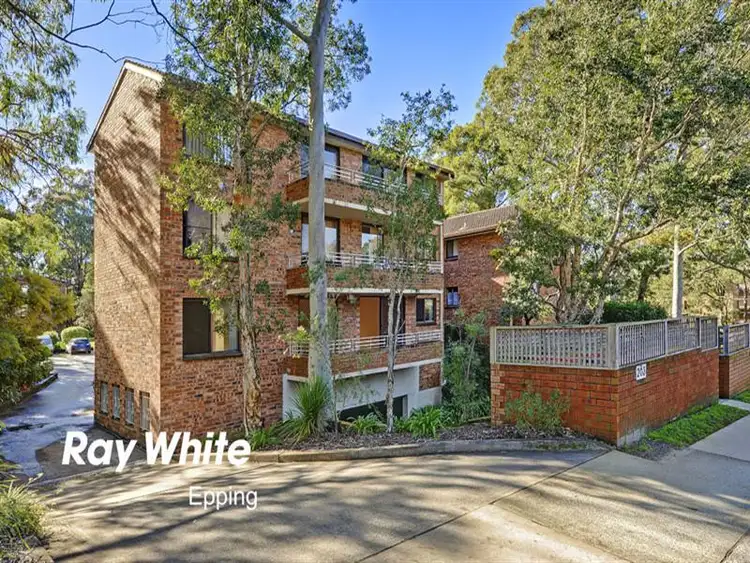 2/203 Waterloo Rd, Marsfield NSW