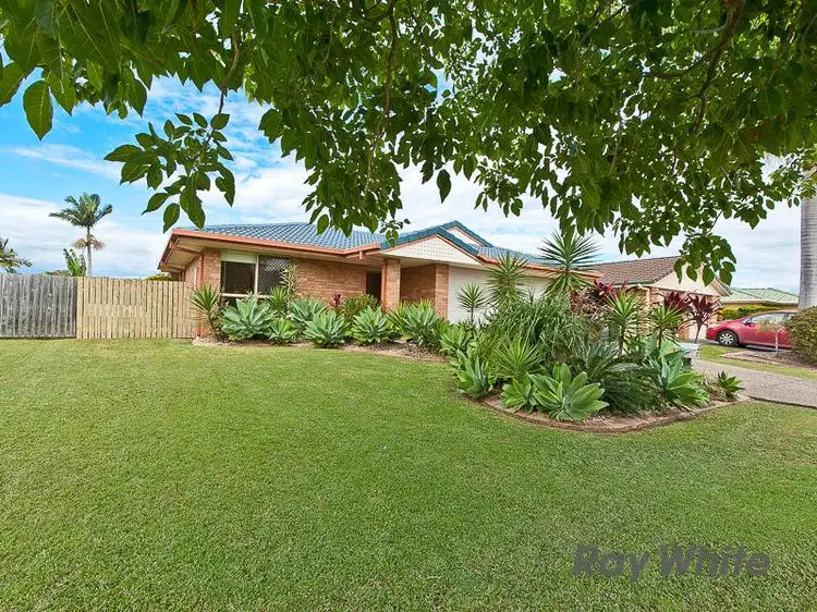 17 Allira Cres, Carseldine QLD