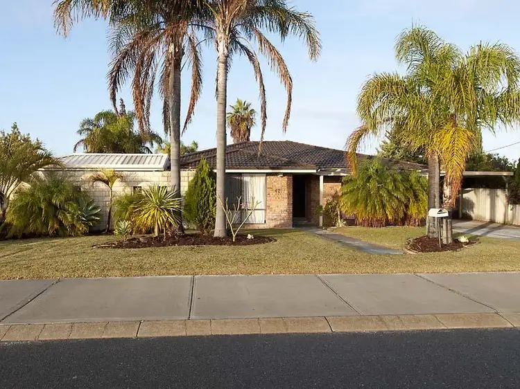 Main view of Homely house listing, 42 Mataitai Loop, Cooloongup WA