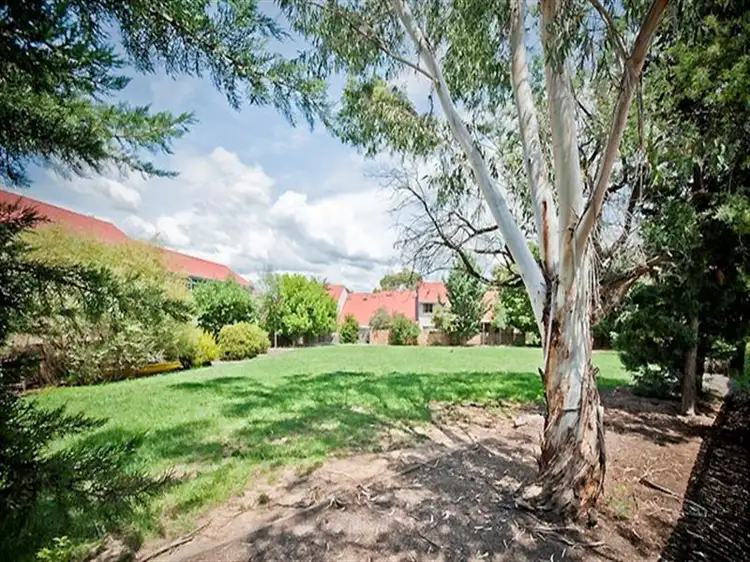 6/7 John Young Cres