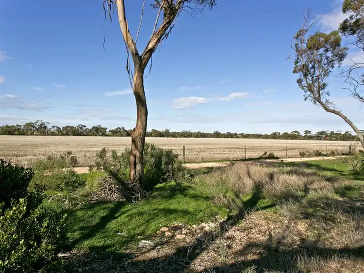 Third view of Homely house listing, 20 South East Tce, Owen SA