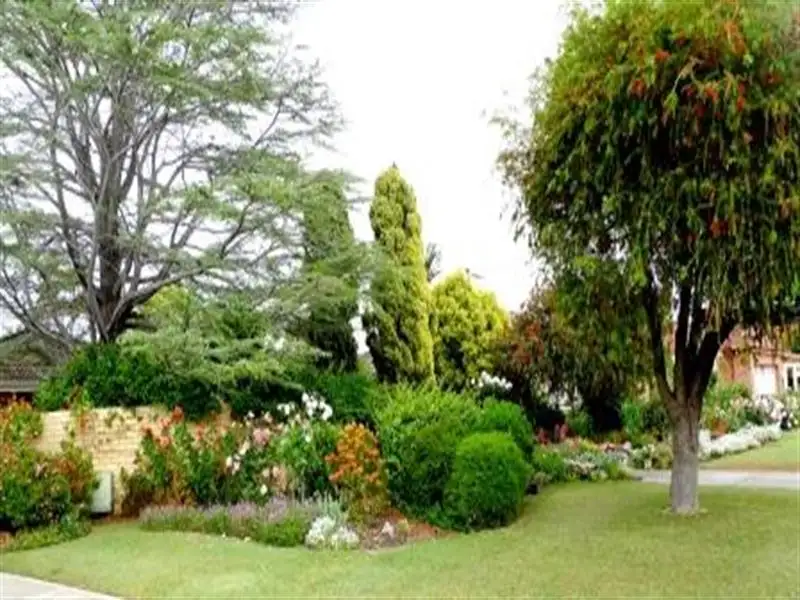 Main view of Homely house listing, 22 Booker St, Dianella WA
