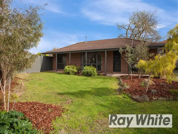 7 Sandra Ct, Somerville VIC