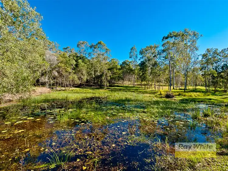 Main view of Homely house listing, 3 Delonix Pl, Wights Mountain QLD