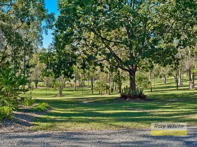 Second view of Homely house listing, 3 Delonix Pl, Wights Mountain QLD