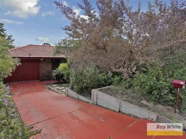 Second view of Homely house listing, 21 Fitzpatrick Way, Padbury WA