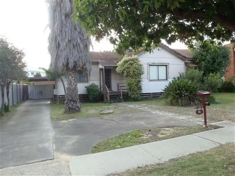 50 Shearn Cres, Doubleview WA