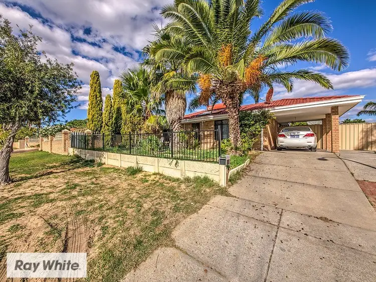 16 Apple Blossom Drive, Mirrabooka WA 6061