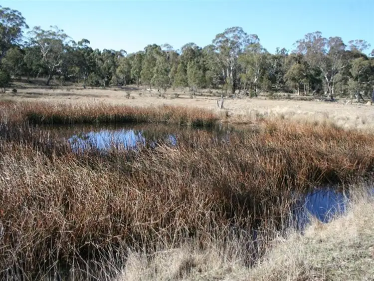 Fourth view of Homely rural property listing, 108 Jones Rd, Byabarra NSW