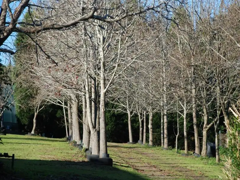 Main view of Homely house listing, 7-9 Carrs Rd, Galston NSW