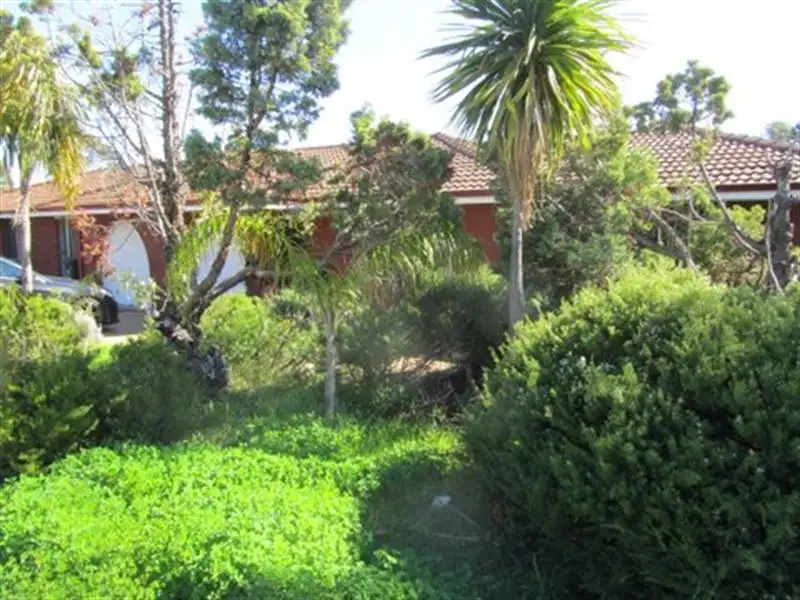 Main view of Homely other listing, 13 Dennis St, Stirling WA