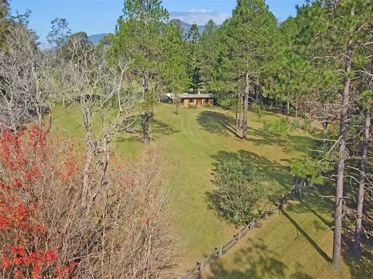 5 Back Creek Rd, Tyalgum NSW