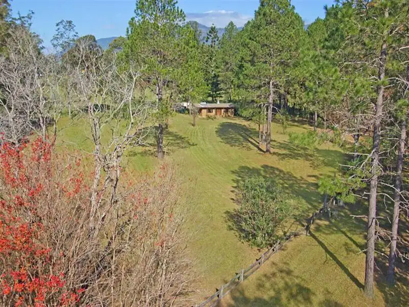 Main view of Homely house listing, 5 Back Creek Rd, Tyalgum NSW