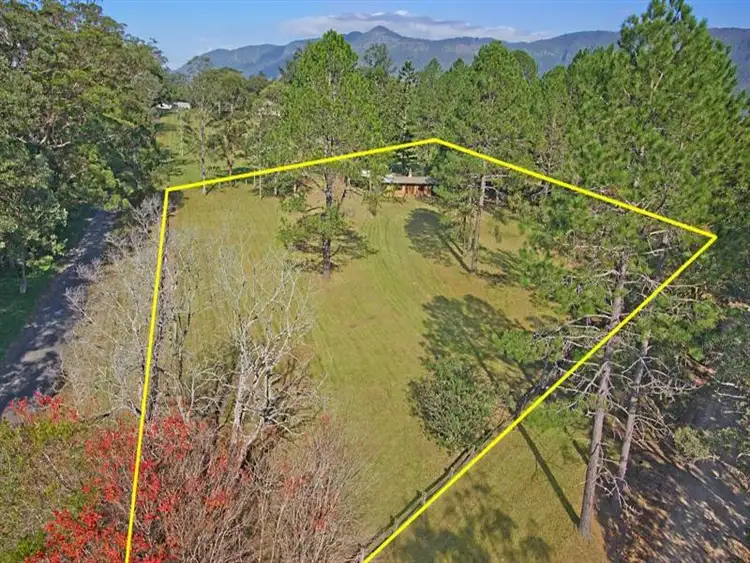 Seventh view of Homely house listing, 5 Back Creek Rd, Tyalgum NSW