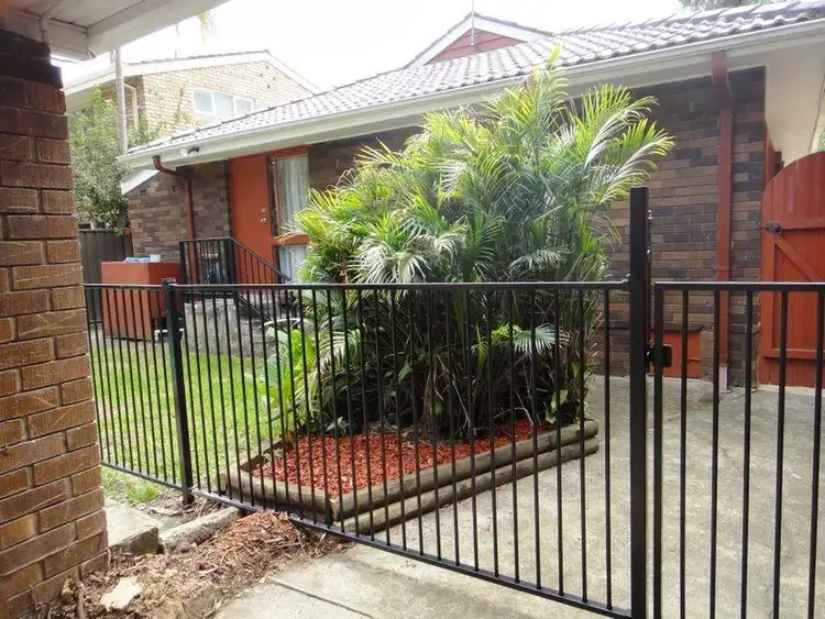 Main view of Homely house listing, 17 Plunkett  St, Marsfield NSW