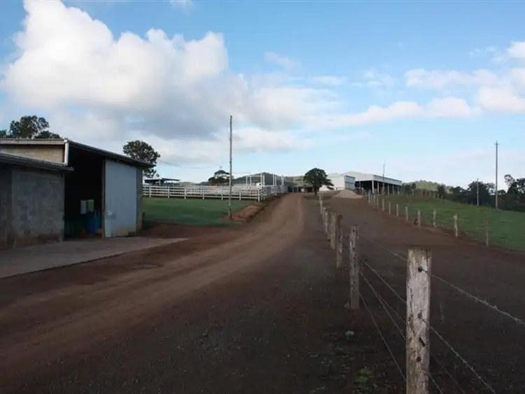 Sixth view of Homely house listing, 700 Neusavale Rd, Kin Kin QLD
