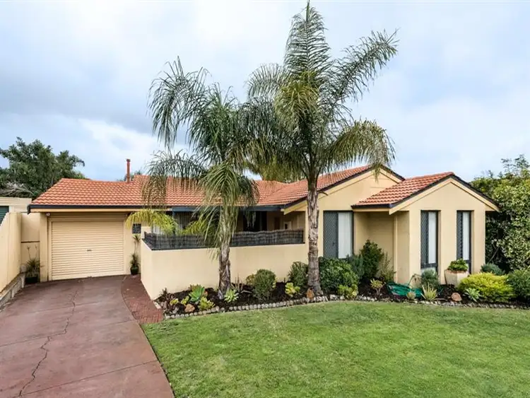 Third view of Homely house listing, 6 Gittos Ct, Noranda WA