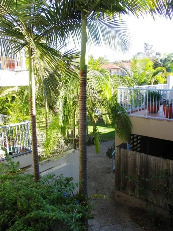 Seventh view of Homely unit listing, 17 / 2 Waverley Rd, Taringa QLD