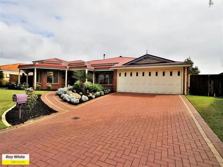 Second view of Homely house listing, 7 Wattlebird Cres, Ellenbrook WA