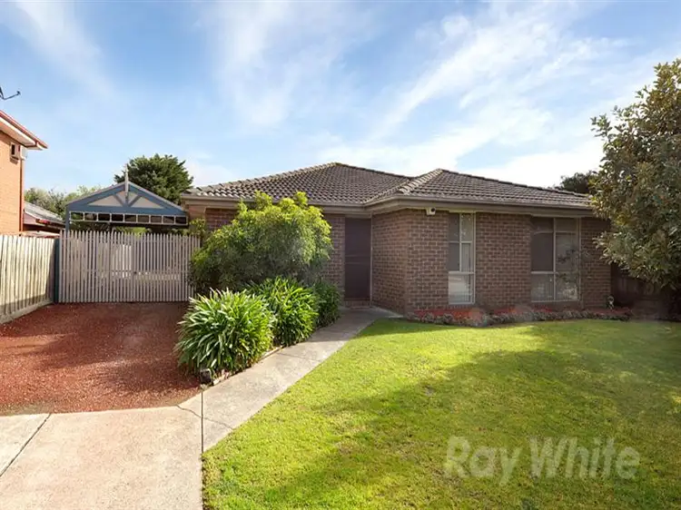 Main view of Homely house listing, 17 Landsborough Ave, Rowville VIC