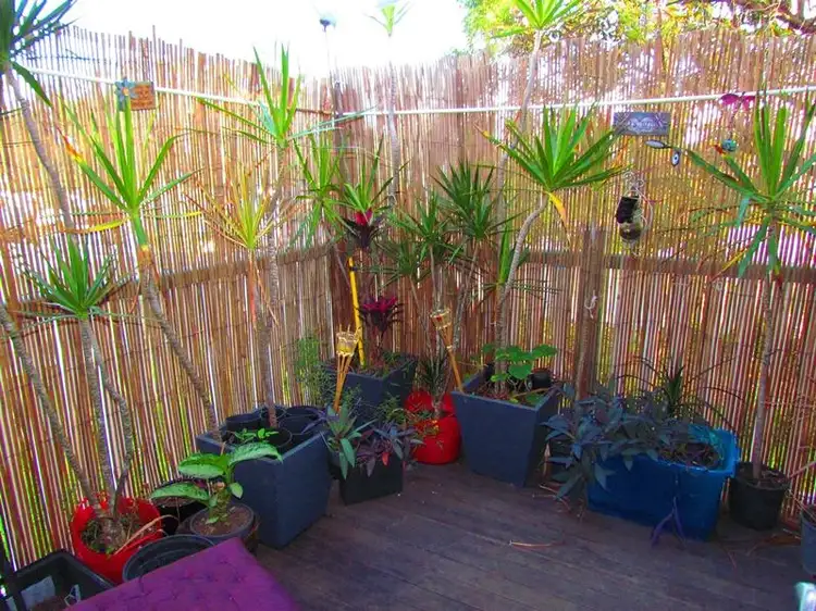 Fifth view of Homely house listing, 17 Ernest St, Leichhardt QLD