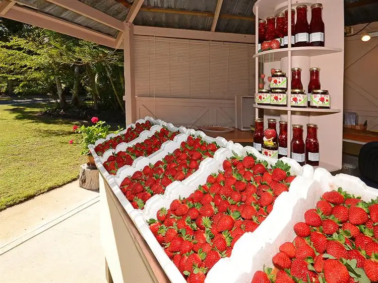 Second view of Homely house listing, 40 Doolong Road S, Wondunna QLD