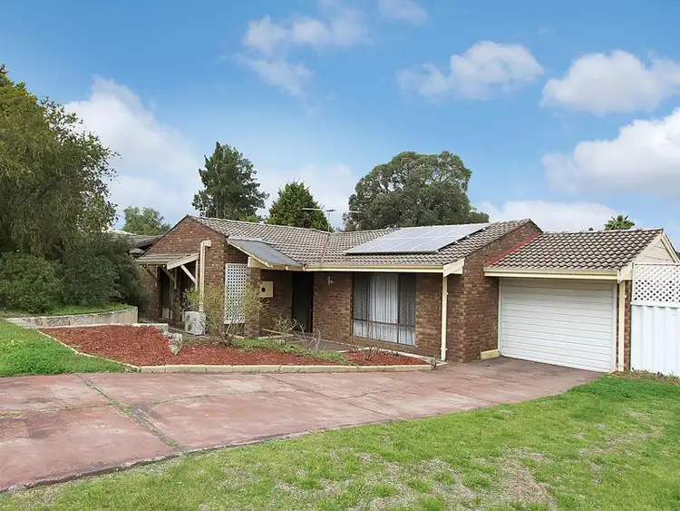 19 Newgate St, Alexander Heights WA