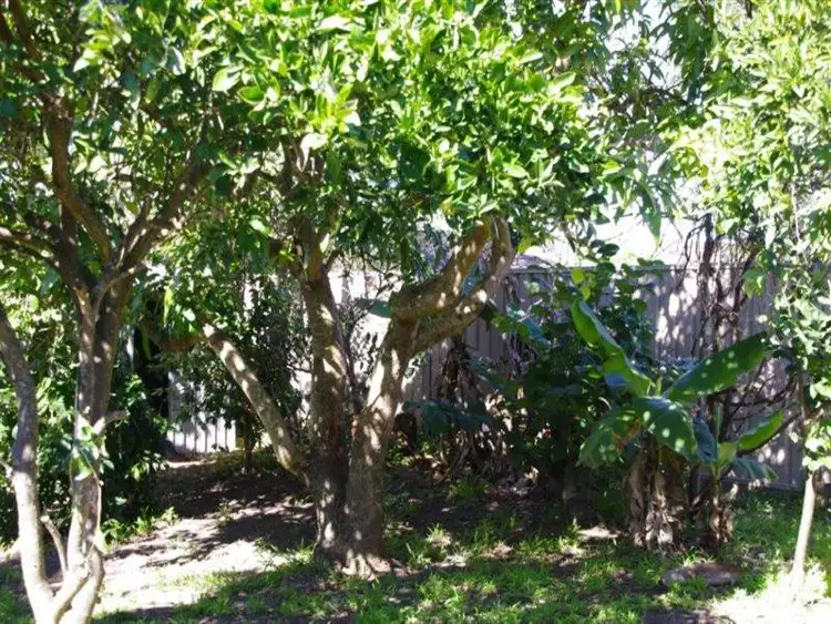 Seventh view of Homely house listing, 45 Kanangra Dr, Taree NSW