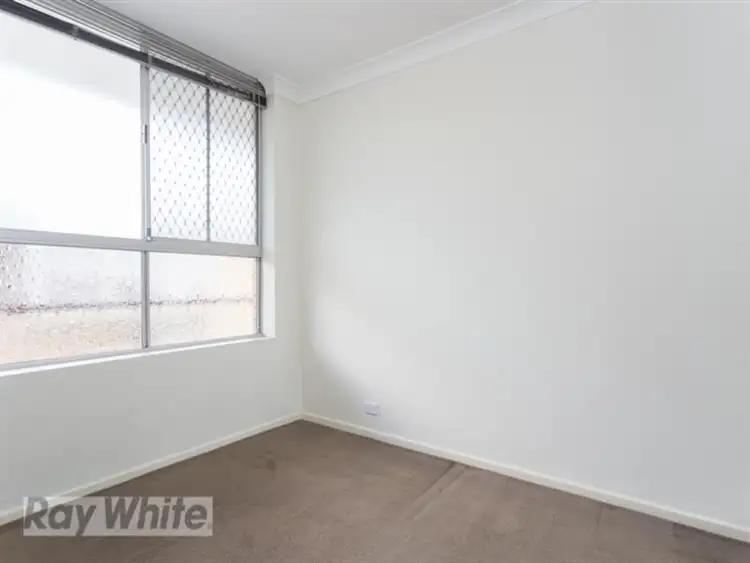 Seventh view of Homely unit listing, 8/51 Rialto St, Coorparoo QLD