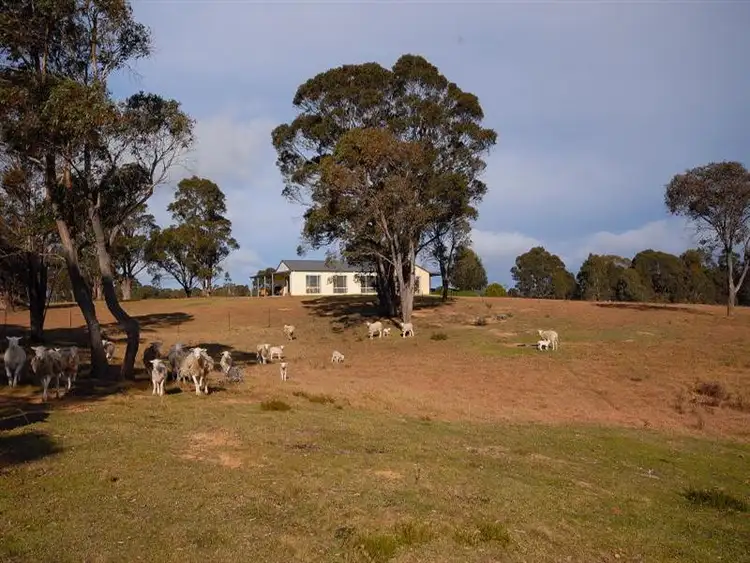 Sixth view of Homely house listing, 315 Back Creek Rd, Braidwood NSW