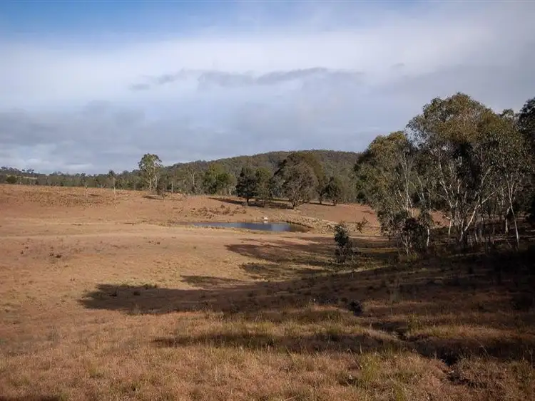 Seventh view of Homely house listing, 315 Back Creek Rd, Braidwood NSW