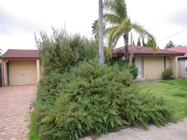 30 Wandoo Rd, Morley WA