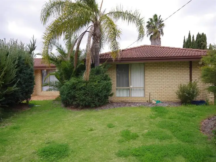 Second view of Homely house listing, 30 Wandoo Rd, Morley WA