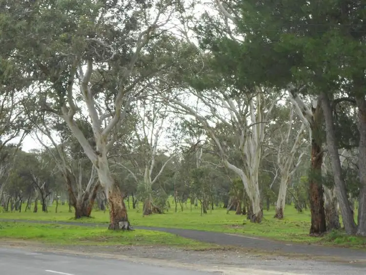 Seventh view of Homely house listing, 164 Victoria Pde, Bordertown SA