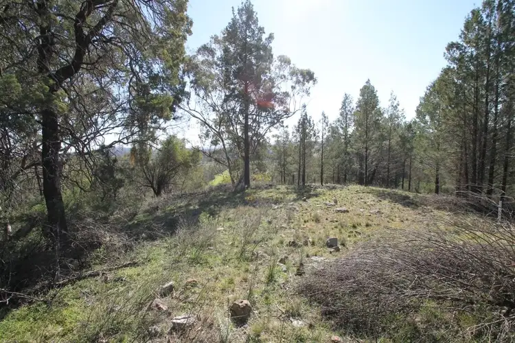 Second view of Homely rural property listing, Lot 142 Grandview Place, Quirindi NSW 2343