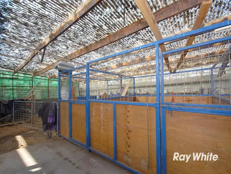 Sixth view of Homely rural property listing, 63 Graydens Rd, Hastings VIC