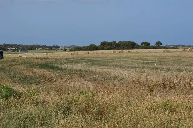 Main view of Homely rural property listing, Lot 169 Padbury Road, Bookara WA 6525