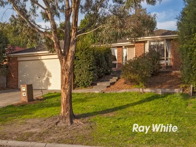 Main view of Homely house listing, 15 Bianco Ct, Langwarrin VIC