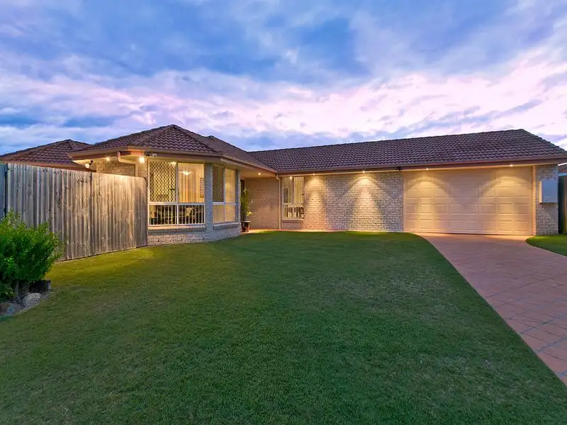 Main view of Homely house listing, 13 Mitchell Ct, Rothwell QLD