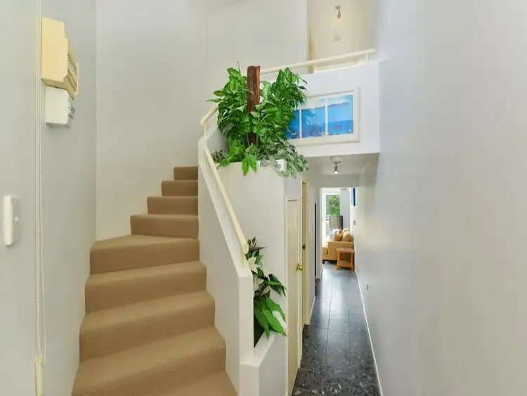 Seventh view of Homely apartment listing, 8/7 GARRICK ST (SUNSEEKER), Port Douglas QLD