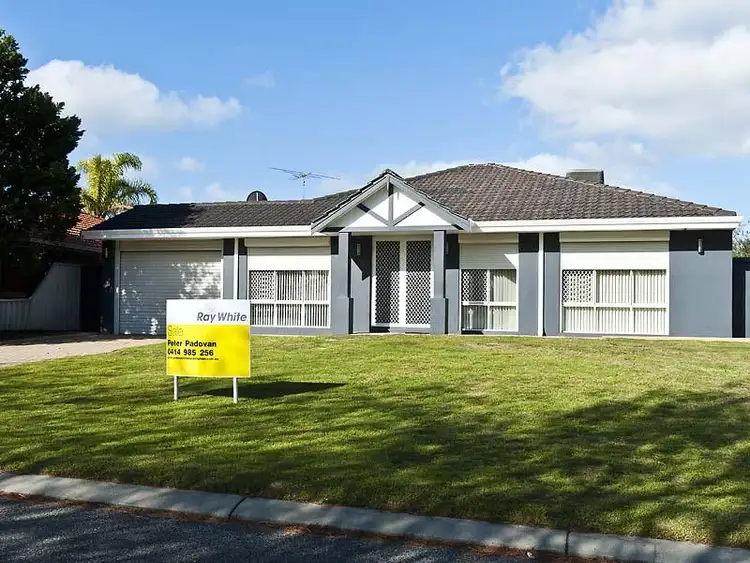 Main view of Homely house listing, 19 Torbay Mews, Warnbro WA