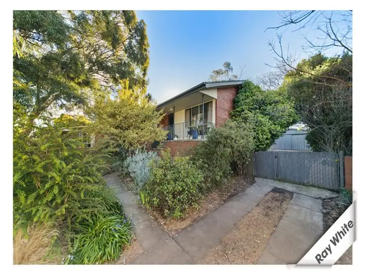 37 Newberry St, Page ACT
