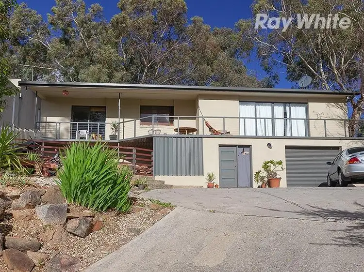 Main view of Homely house listing, 849 Miller St, Albury NSW