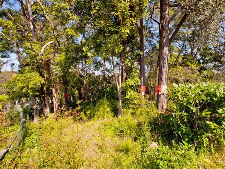 Second view of Homely house listing, 43 Wilfred Ave, Chatswood NSW