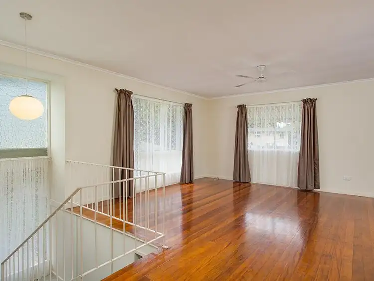 53 Camelia Ave, Everton Hills QLD
