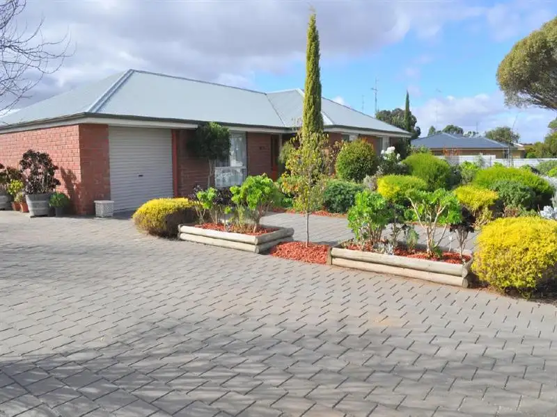 Main view of Homely house listing, 51 Venn Ave, Bordertown SA
